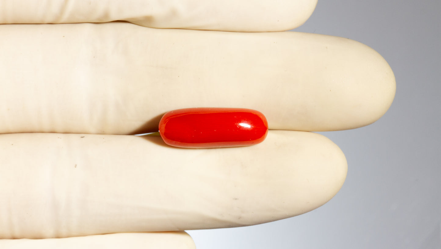 Natural Italian Red Coral (Moonga) 8.81 Carats