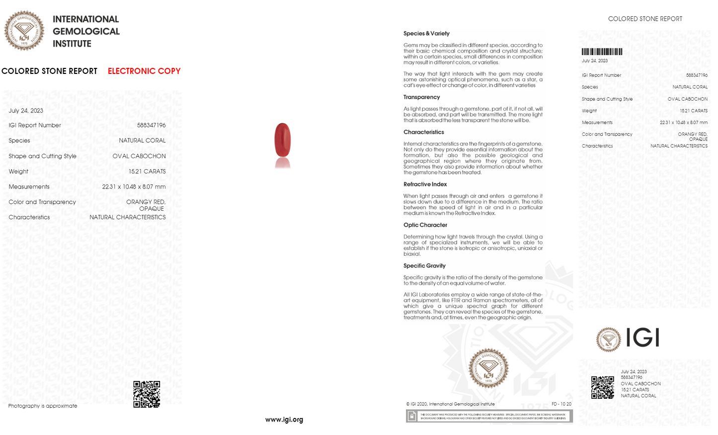 NATURAL RED CORAL (MOONGA) 15.21 CARATS
