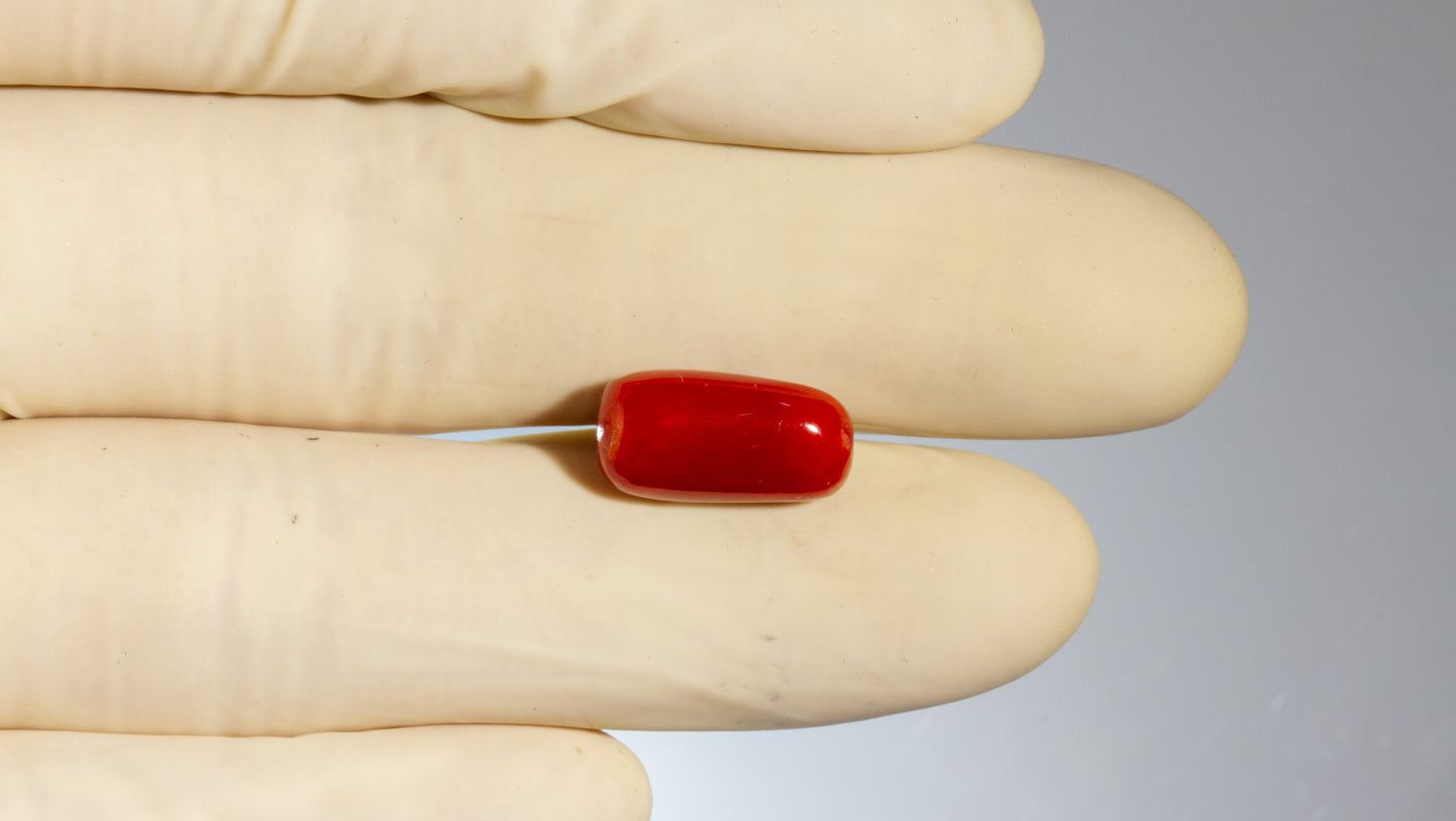Natural Italian Red Coral (Moonga) 8.24 Carats