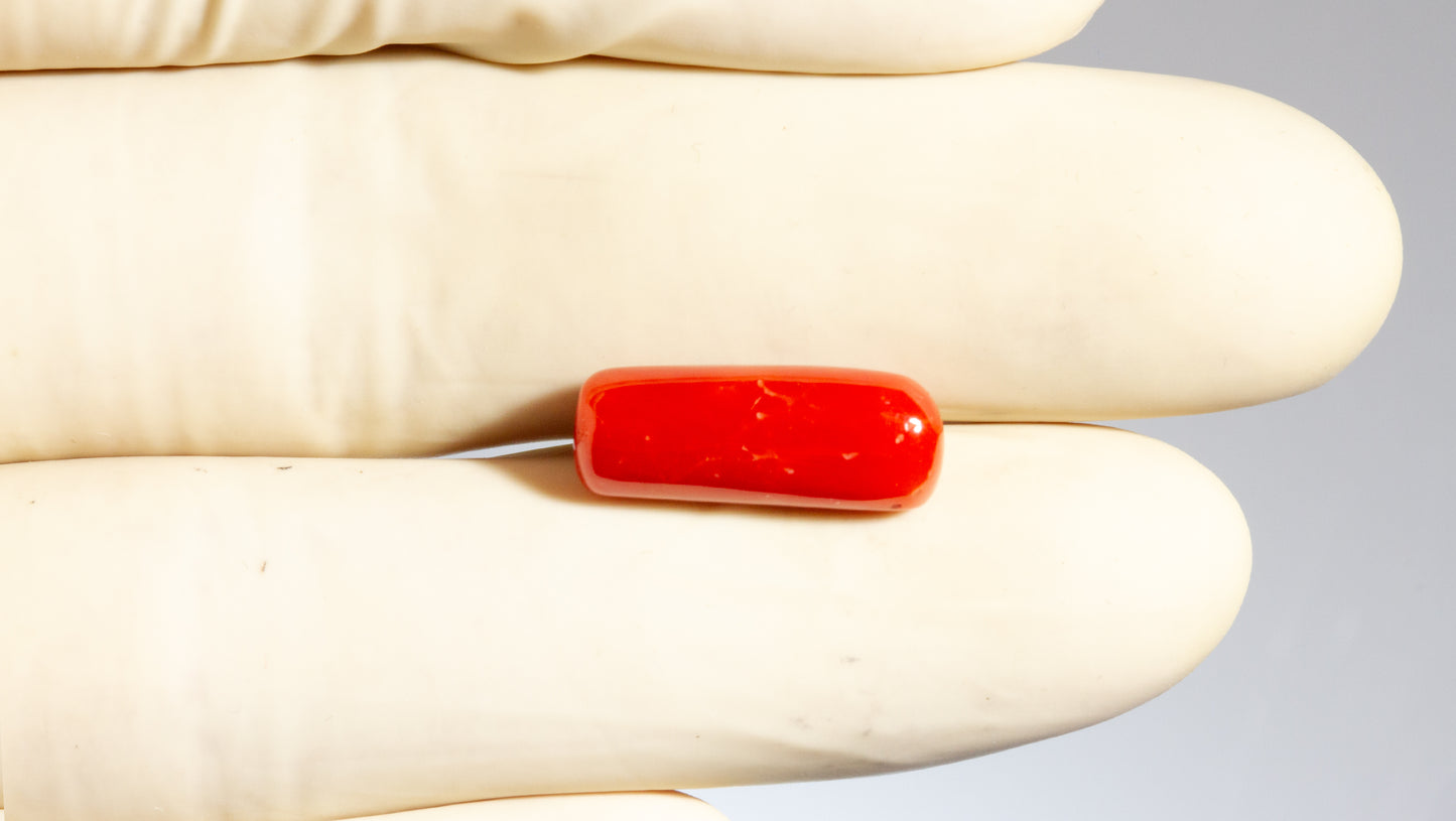 Natural Italian Red Coral (Moonga) 7.88 Carats