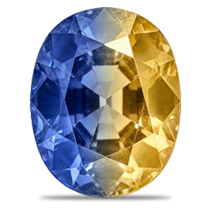 Natural Pitambari (Neelambari)