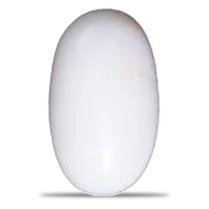 White Coral (Safed Moonga)