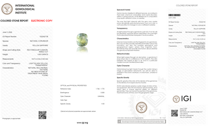 Natural Pitambari 4.60 Carats