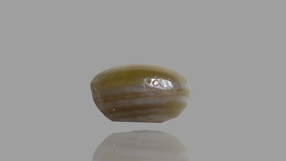 Natural Cat'S Eye (Chrysoberyl) 7.97  Carats