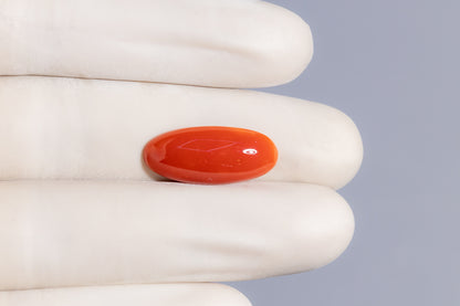Japanese Red Coral (Moonga) 8.74 Carats
