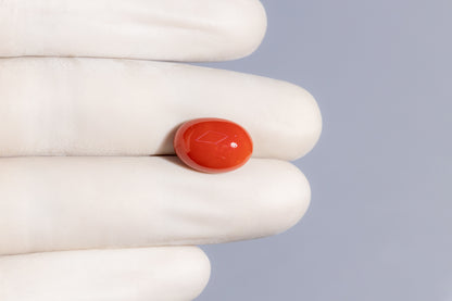 Japanese Red Coral (Moonga) 8.99 Carats