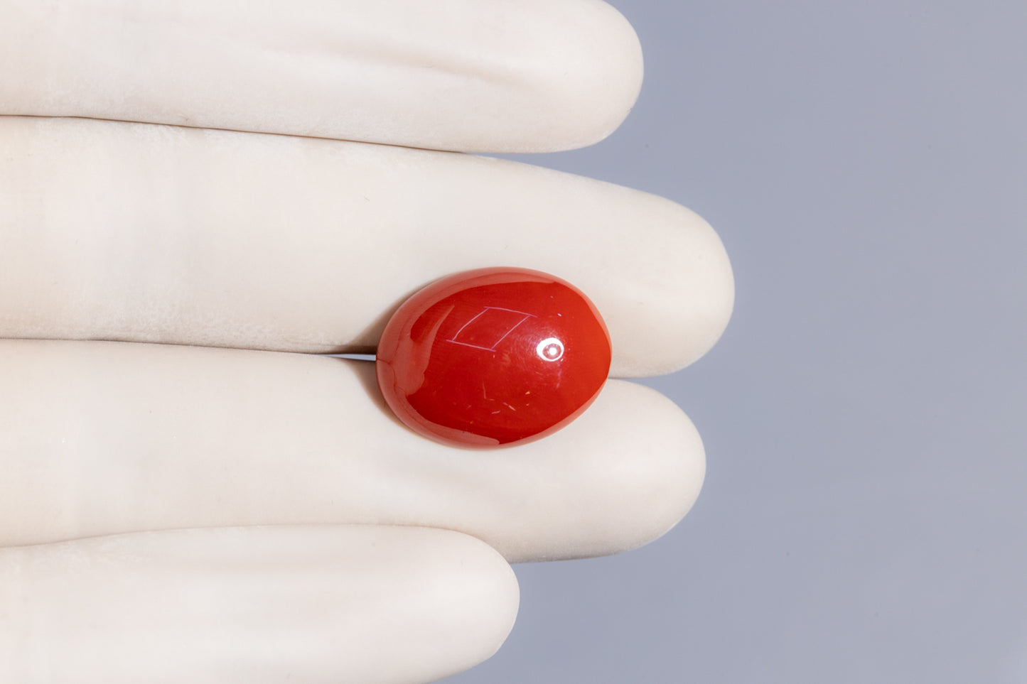 Japanese Red Coral (Moonga) 16.24 Carats