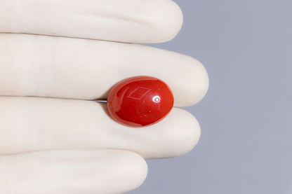 Japanese Red Coral (Moonga) 16.24 Carats