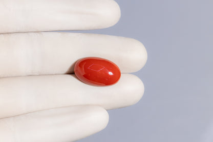 Japanese Red Coral (Moonga) 16.28 Carats