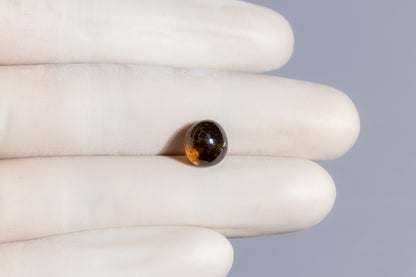 Natural Cat'S Eye (Lehsuniya) 7.11 Carats