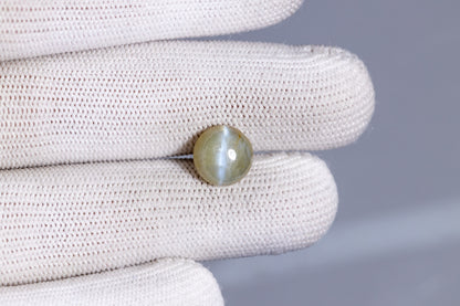 Natural Cat'S Eye (Lehsuniya)  7.73 Carats