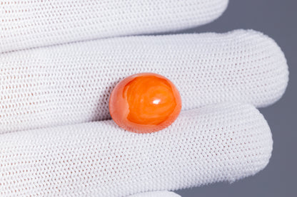 Japanese Red Coral (Moonga) 14.53 Carats