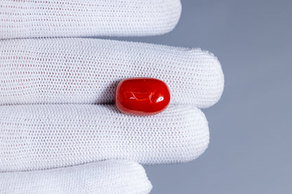 NATURAL RED CORAL (MOONGA) 13.31 CARATS