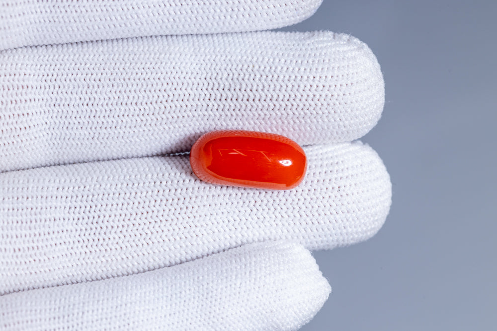 Natural Italian Red Coral (Moonga) 11.66 Carats