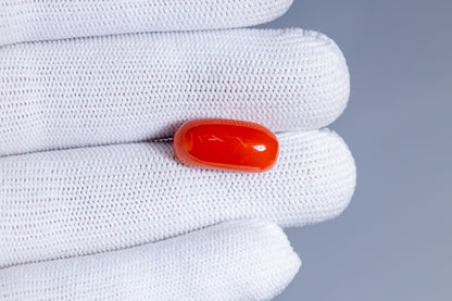 Natural Italian Red Coral (Moonga) 11.66 Carats