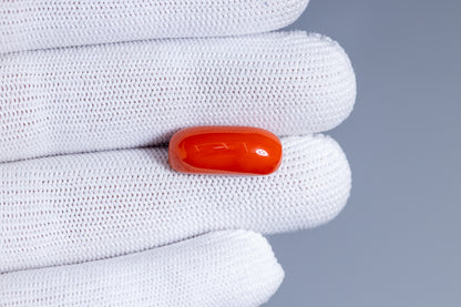 Natural Italian Red Coral (Moonga) 12.74 Carats