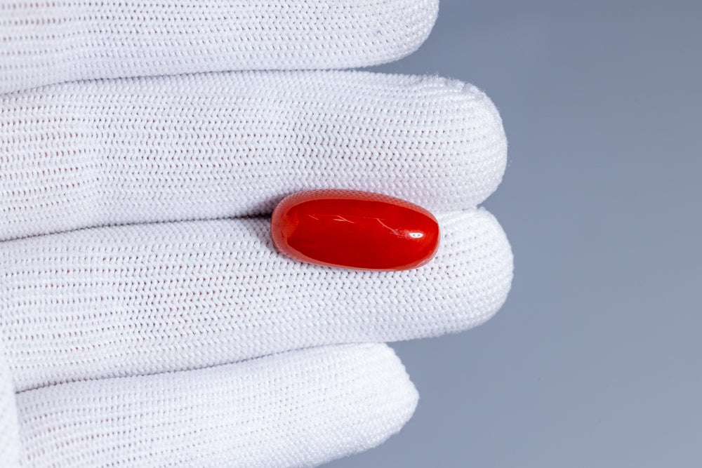 NATURAL RED CORAL (MOONGA) 15.21 CARATS
