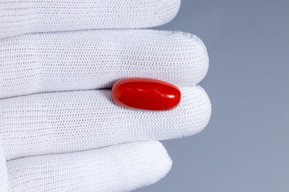 NATURAL RED CORAL (MOONGA) 15.21 CARATS