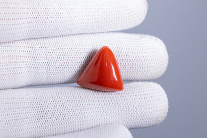 Natural Italian Red Coral (Moonga) 18.05 Carats