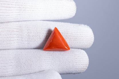 Natural Italian Red Coral (Moonga) 16.46 Carats