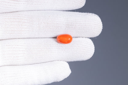 Japanese Red Coral (Moonga) 4.57 Carats