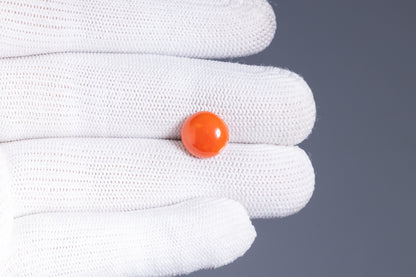 Japanese Red Coral (Moonga) 4.69 Carats
