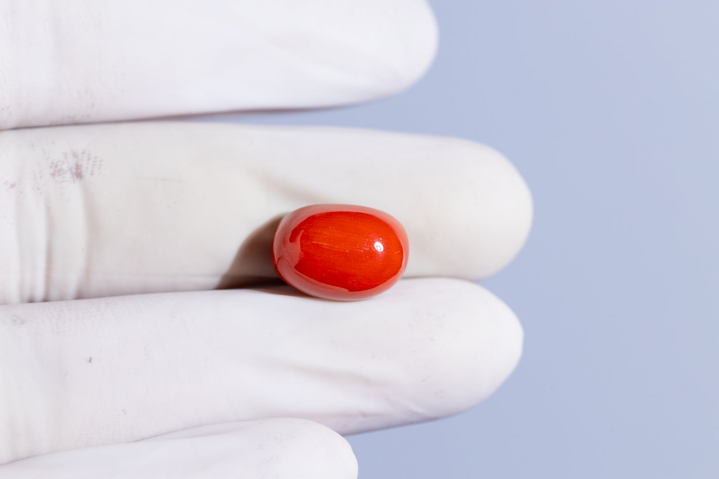 NATURAL RED CORAL (MOONGA) 11.88 CARATS