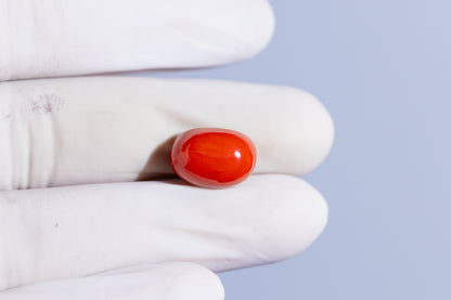 NATURAL RED CORAL (MOONGA) 11.88 CARATS