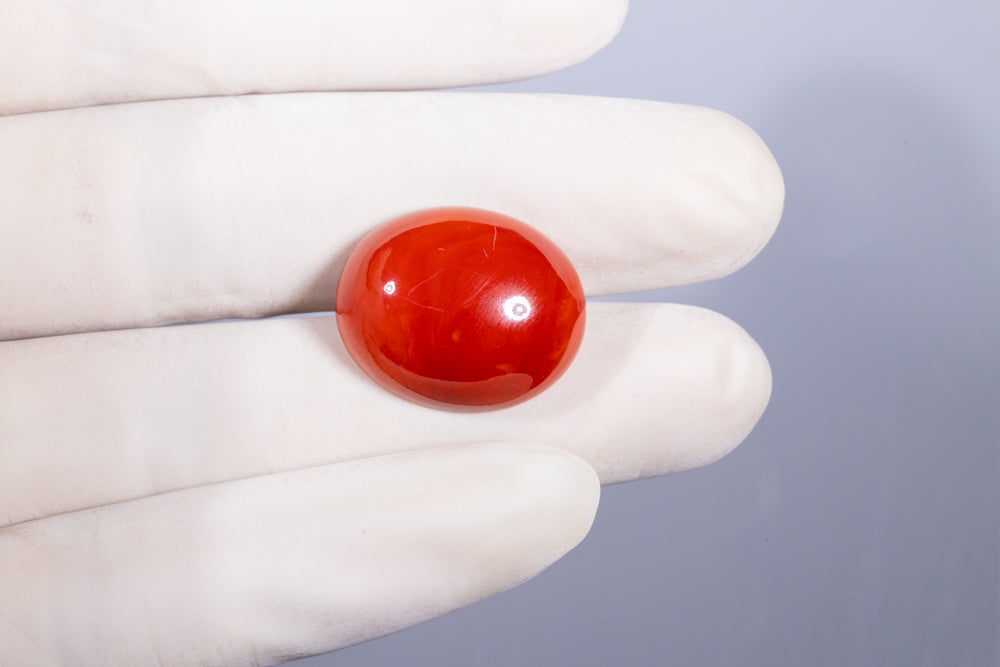 Japanese Red Coral (Moonga) 29.31 Carats