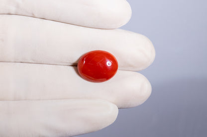 Japanese Red Coral (Moonga) 9.06 Carats