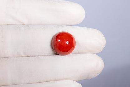 Japanese Red Coral (Moonga) 10.04 Carats