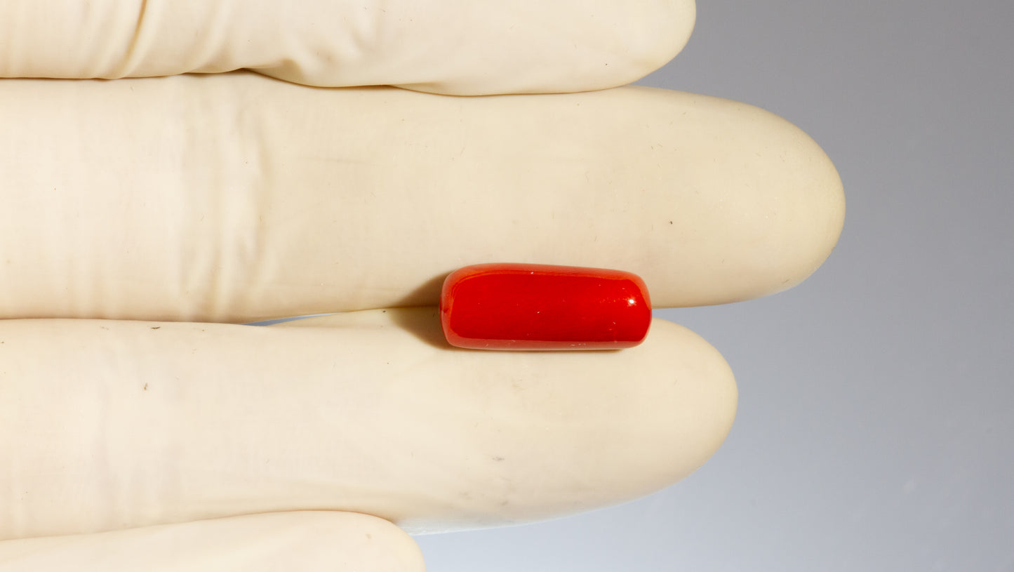 Natural Italian Red Coral (Moonga) 7.61 Carats