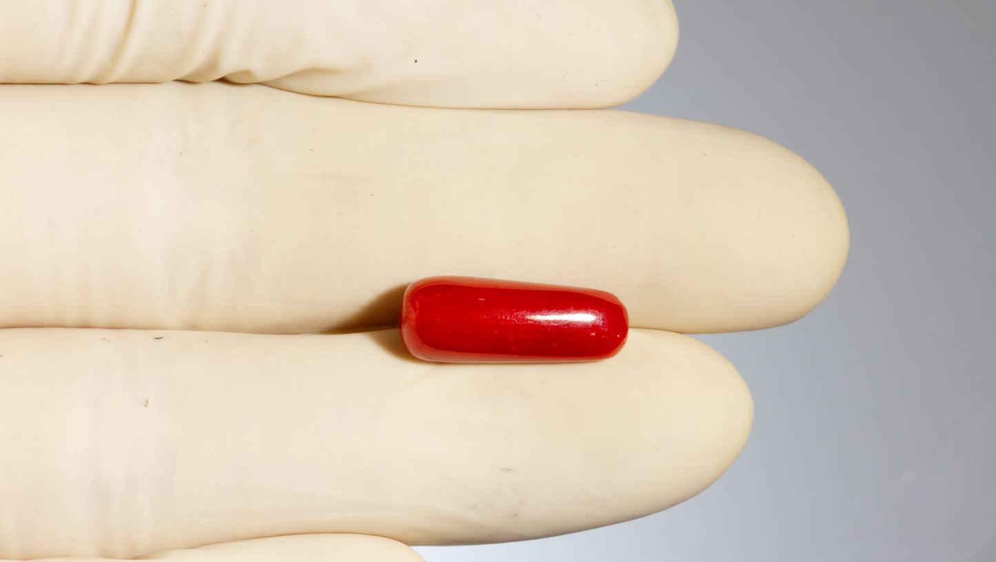 NATURAL RED CORAL (MOONGA) 7.04 CARATS