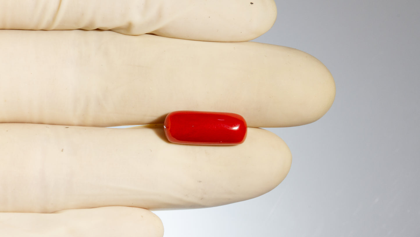 Natural Italian Red Coral (Moonga) 7.65 Carats