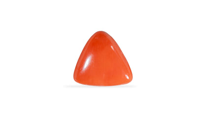 Natural Italian Red Coral (Moonga) 9.02 Carats