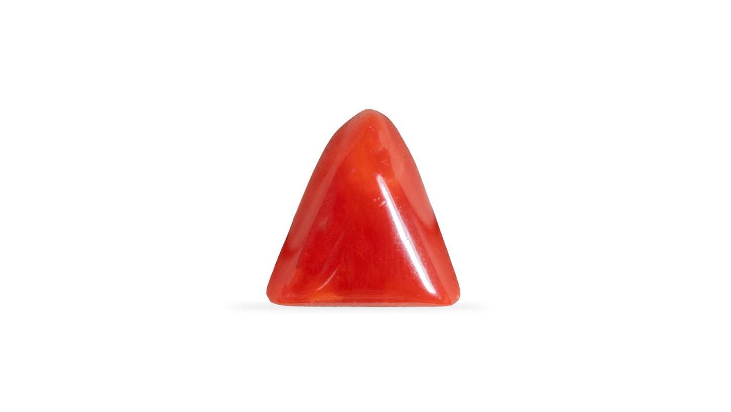 Natural Italian Red Coral (Moonga) 5.79 Carats