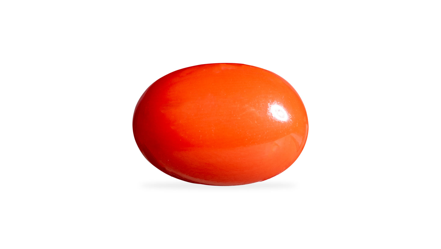 Japanese Red Coral (Moonga) 6.00 Carats