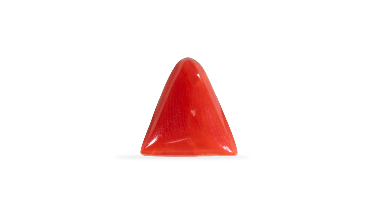 Natural Italian Red Coral (Moonga) 5.70 Carats