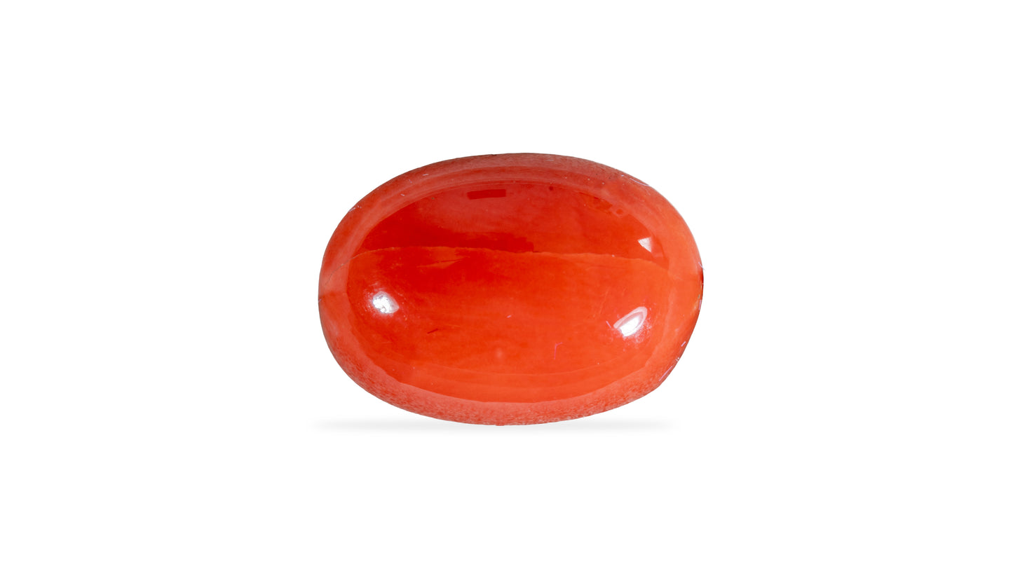 Natural Italian Red Coral (Moonga) 6.38 Carats