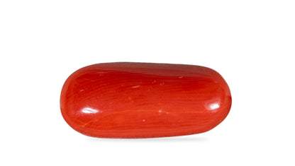 Natural Italian Red Coral (Moonga) 5.91 Carats