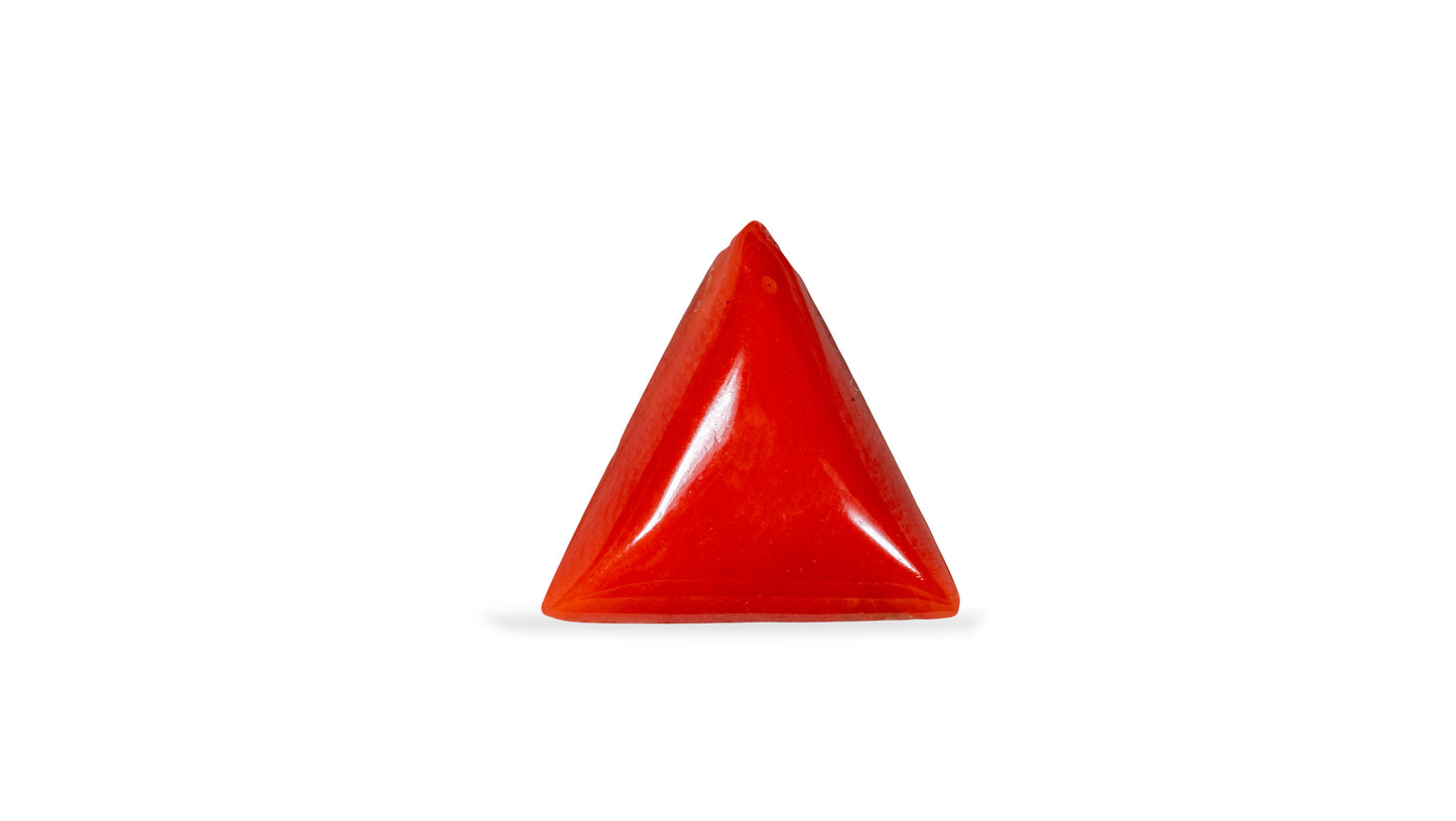 NATURAL RED CORAL (Moonga) 7.50 CARATS