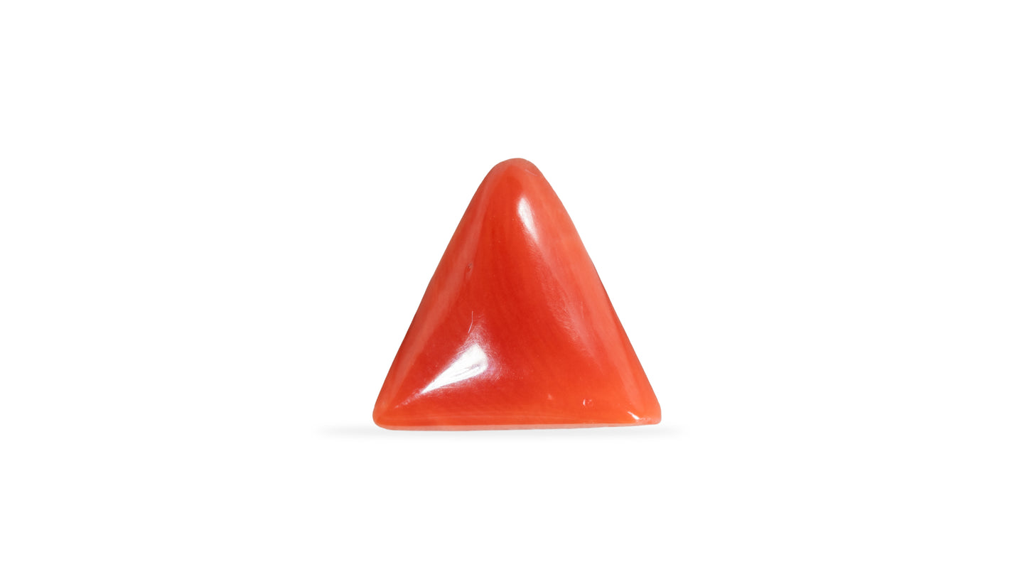 Natural Italian Red Coral (Moonga) 5.03 Carats