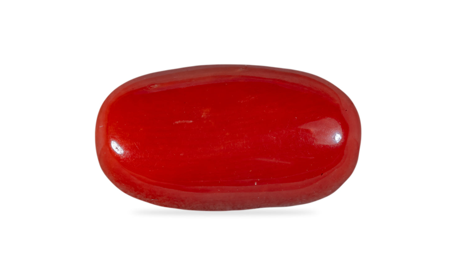 NATURAL RED CORAL (Moonga) 7.15 CARATS