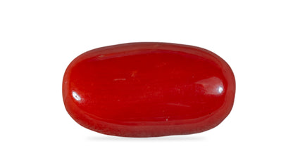 NATURAL RED CORAL (Moonga) 7.15 CARATS