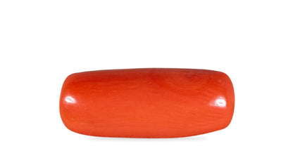 Natural Red Coral (Moonga) 7.09 Carats
