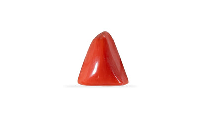 Natural Italian Red Coral (Moonga) 5.95 Carats