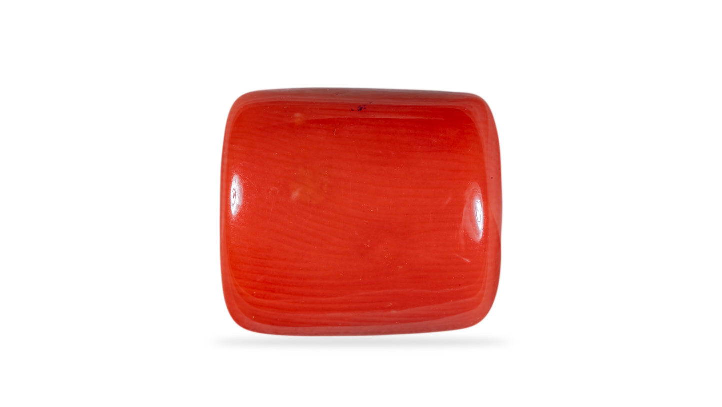 Natural Italian Red Coral (Moonga) 13.95 Carats