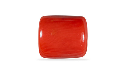 Natural Italian Red Coral (Moonga) 13.95 Carats