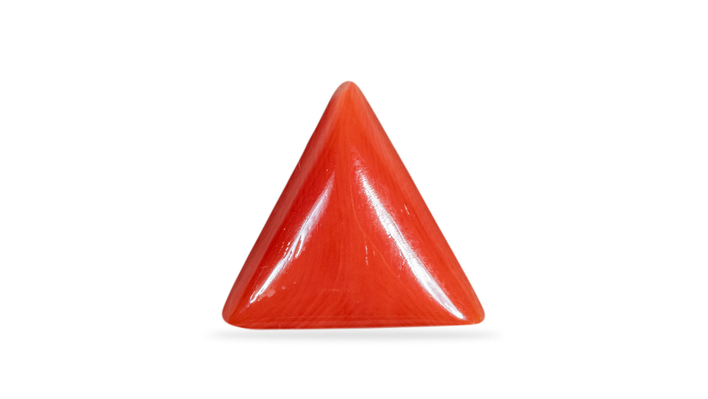 NATURAL RED CORAL (Moonga) 7.00 CARATS