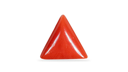 NATURAL RED CORAL (Moonga) 7.00 CARATS